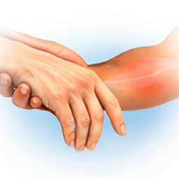 Applied kinesiology services in Ottawa supporting muscle balance and function