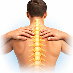 Chiropractic care in Ottawa focused on pain relief and spinal health